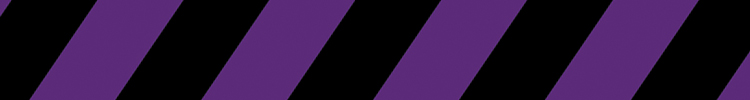 Haz Stripes website escape room, clermont, mind masters, central florida, orlando, things to do